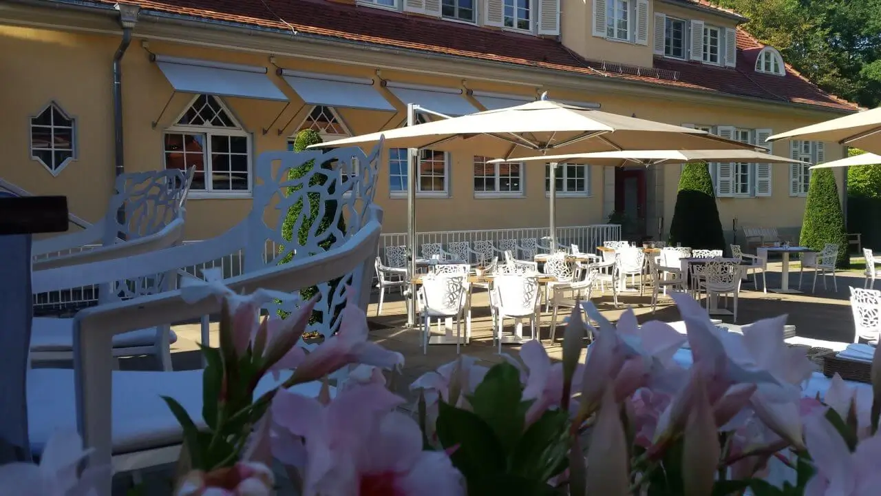 Im Vordergrund sind schöne, rosa Blumen und im Hintergrund die Sonnenterrasse des Waldhotels.