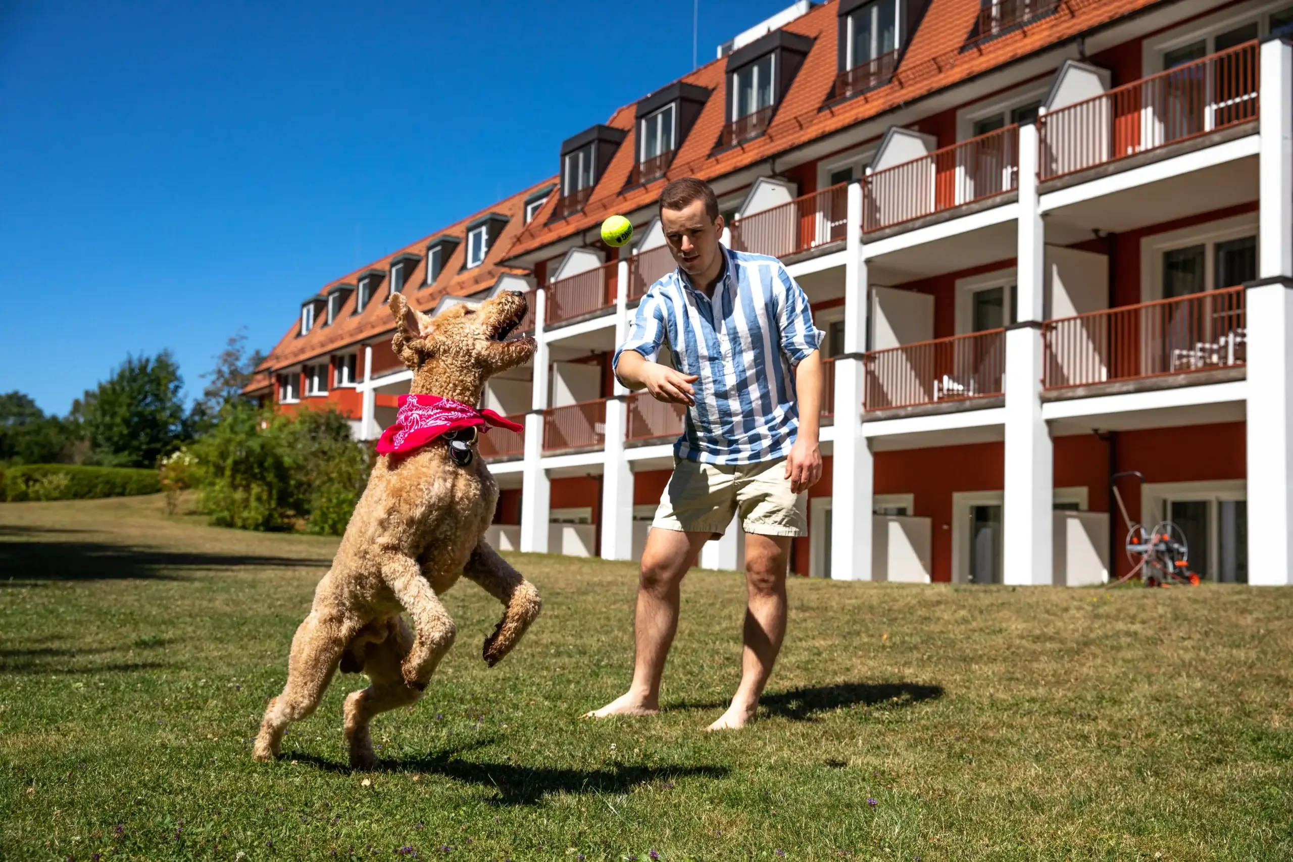 Hundehotel in Stuttgart – Urlaub mit Hund im Waldhotel Stuttgart