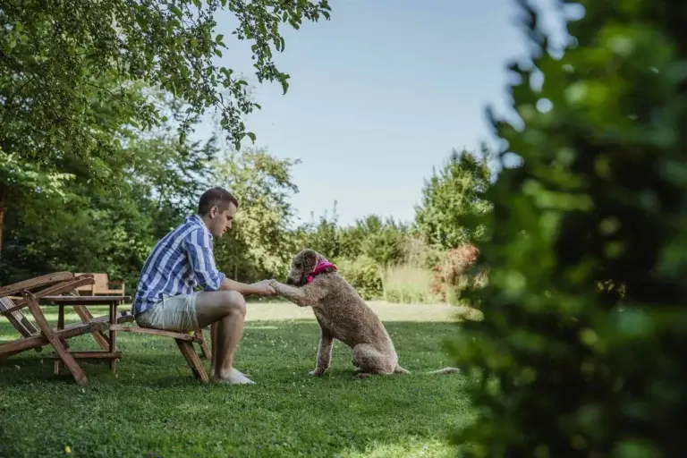 Ein Mann und ein Hund sitzen im Garten des Waldhotel Stuttgart, der Hund gibt dem Mann Pfötchen. 