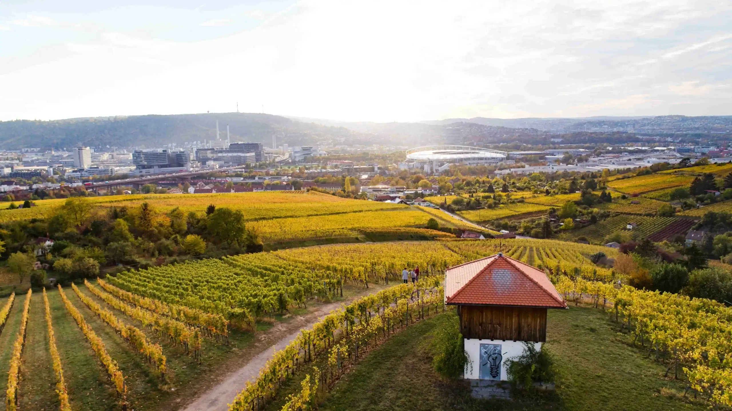 Blick über die Weinberge des Weingut Wöhrwag, mit Stuttgart im Hintergrund