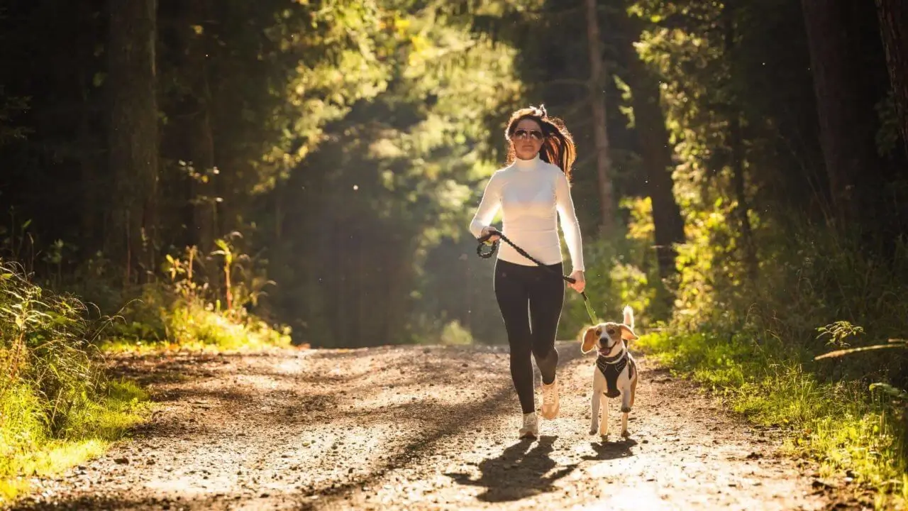 Eine Frau joggt mit ihrem Hund auf einem Waldweg, perfekt für ein Hotel in Stuttgart mit Hund.