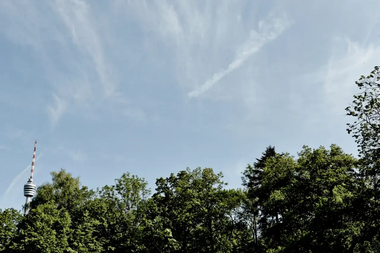 Waldhotel Stuttgart Garten Fernsehturm