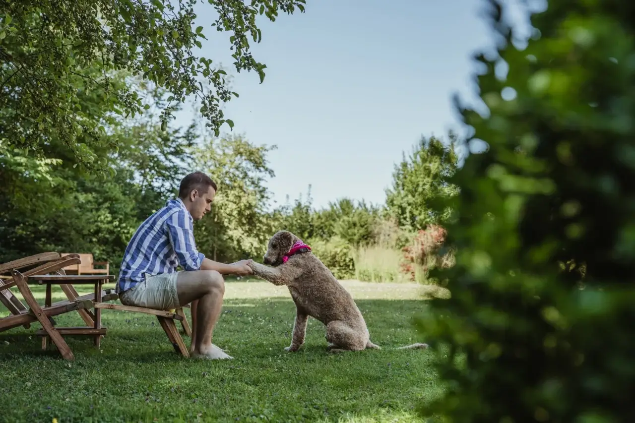 Waldhotel Stuttgart Garten Hund