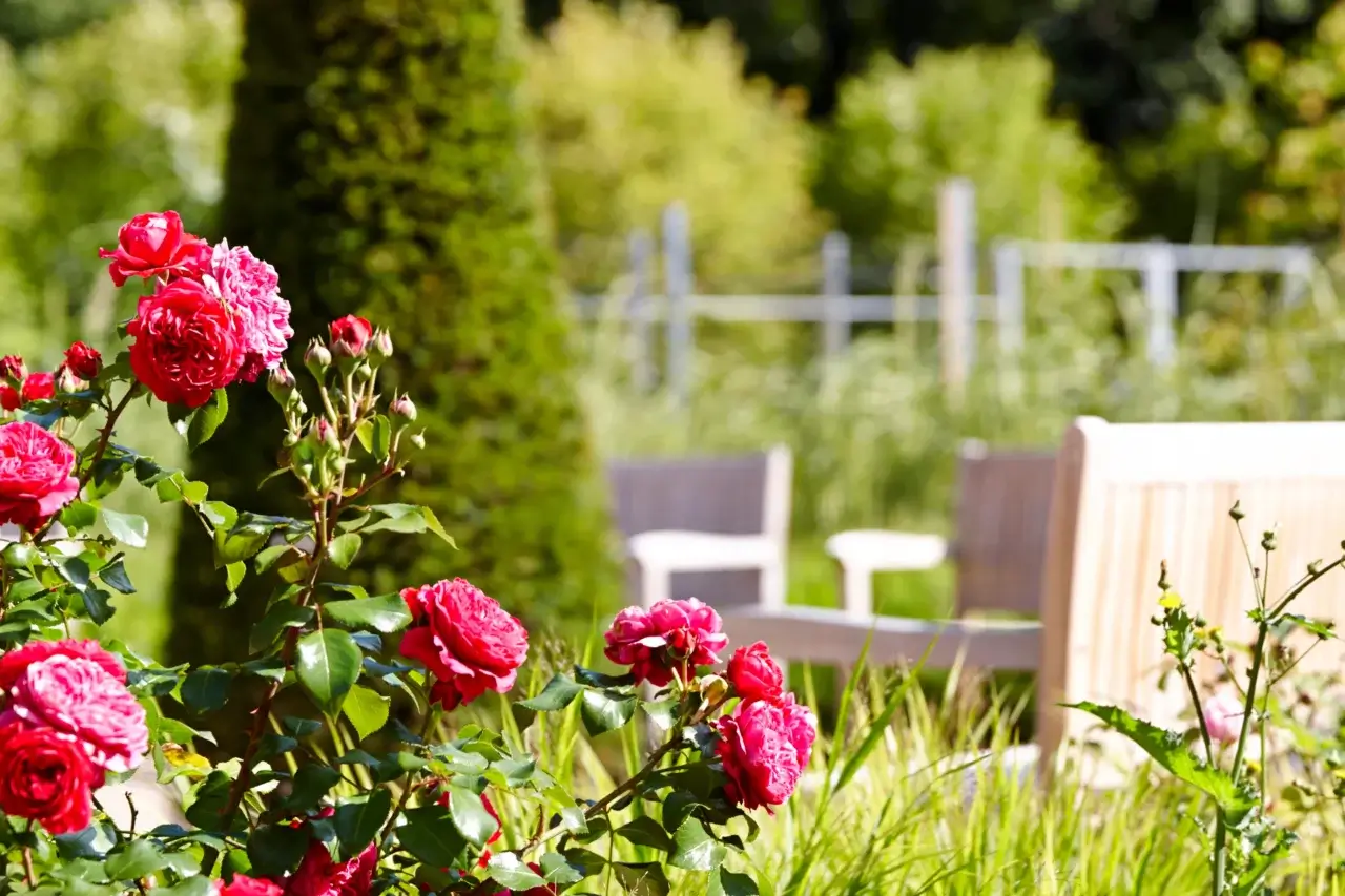 Waldhotel Stuttgart Garten Rosen